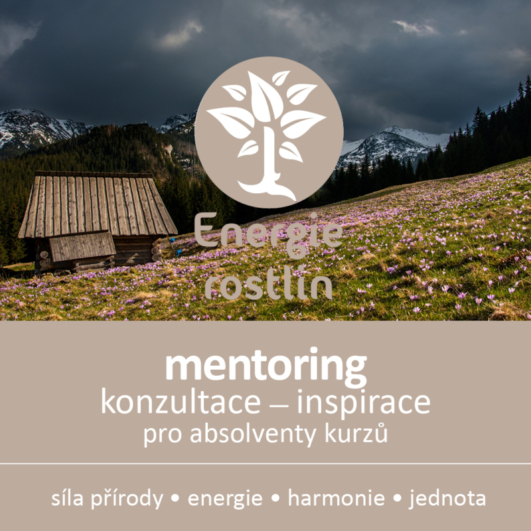 Bachovy esence inspirace mentoring Energie rostlin 1 e1694455764455