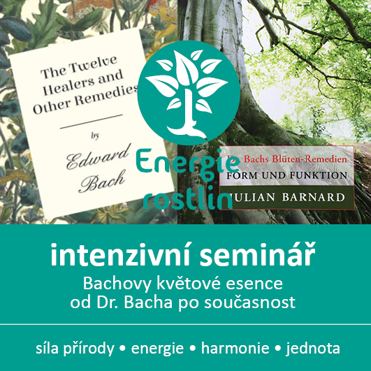 Bachovy esence intenzivni seminar Energie rostlin