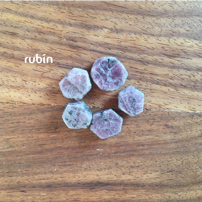 Bachovy esence rubin Energie rostlin 1