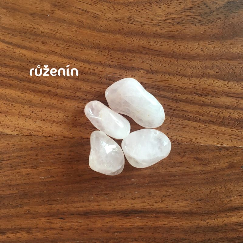 Bachovy esence ruzenin Energie rostlin 1