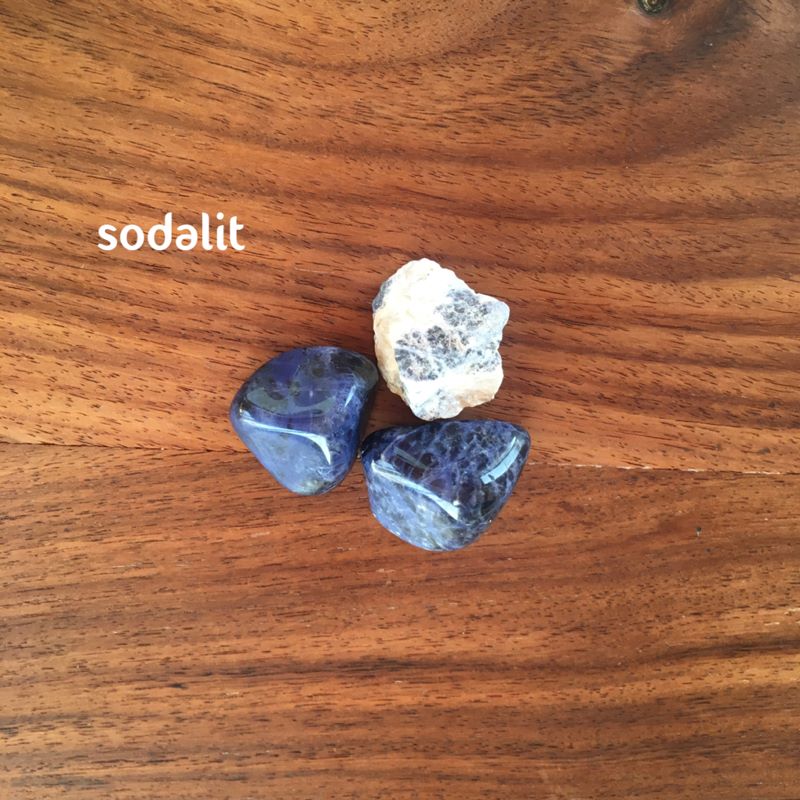 Bachovy esence sodalit Energie rostlin 1