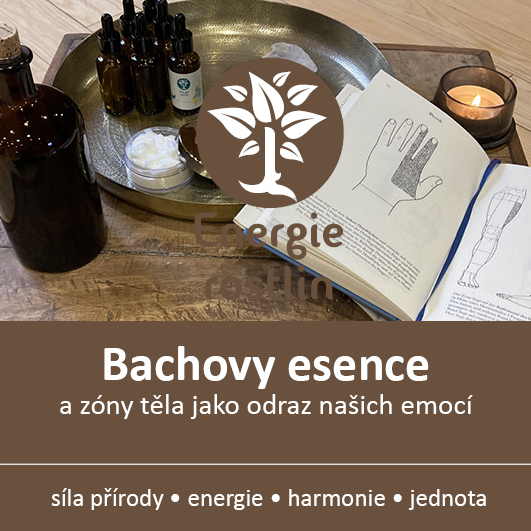 Bachovy esence zony tela Energie rostlin