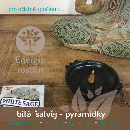 Bachovy esence bila salvej pro ocistne spocinuti Energie rostlin