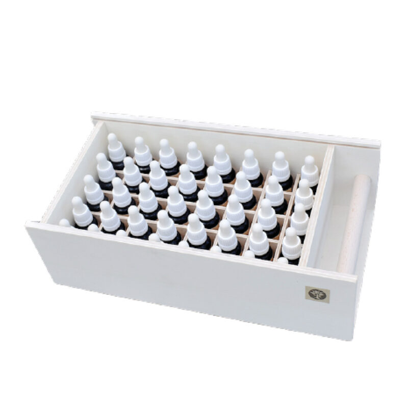 Bachovy esence profesionalni sada 382 set 20ml kapky Energie rostlin