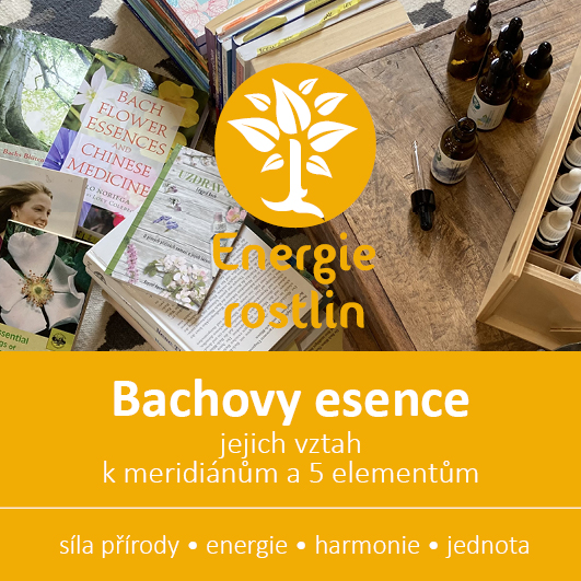 Bachovy esence seminar TCM a meridiany Energie rostlin