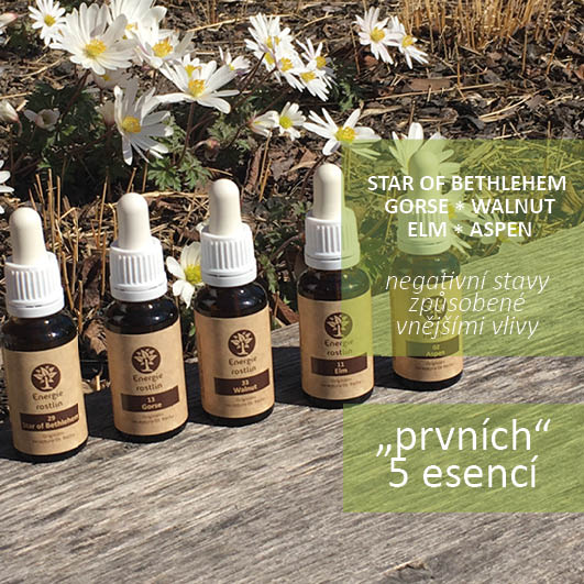Bachovy esence vnejsi Energie rostlin
