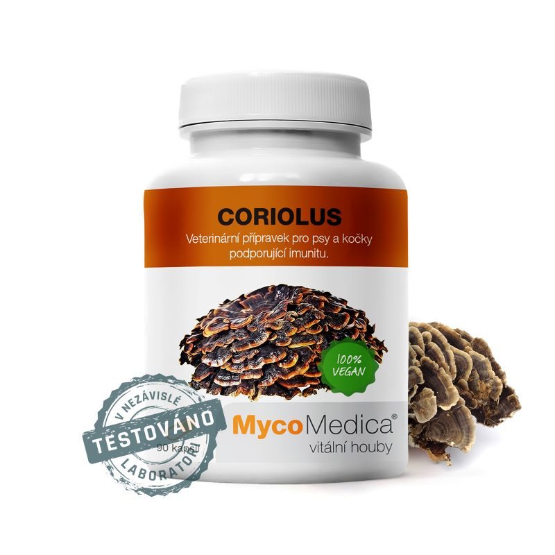 Coriolus od MycoMedica u Energie rostlin