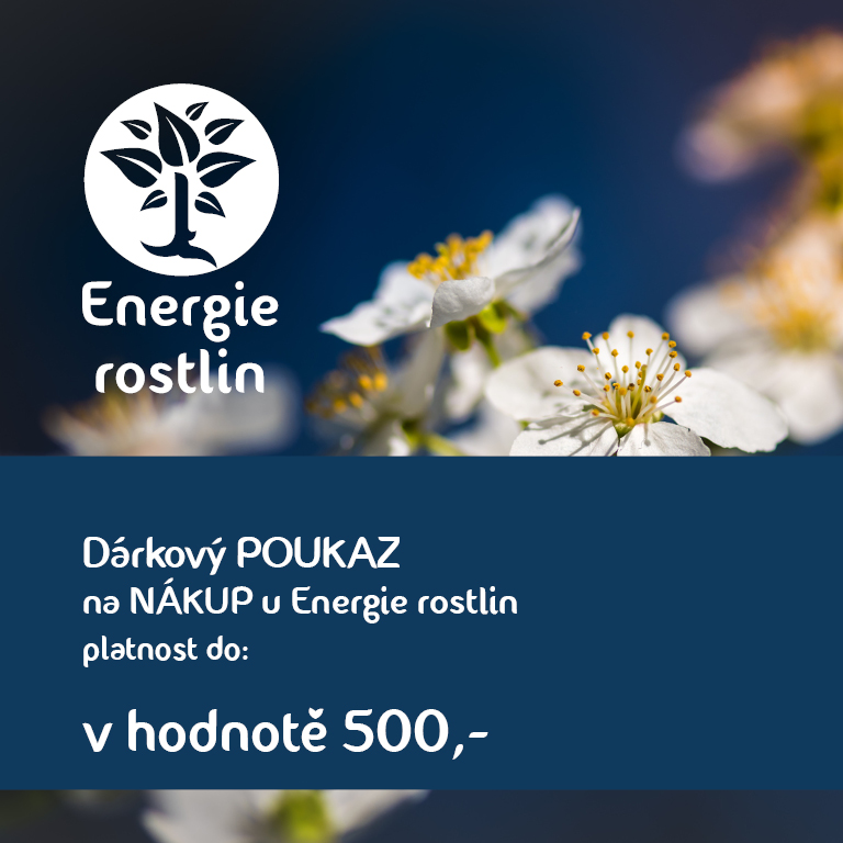Darkovy poukaz na nakup 500kc Energie rostlin