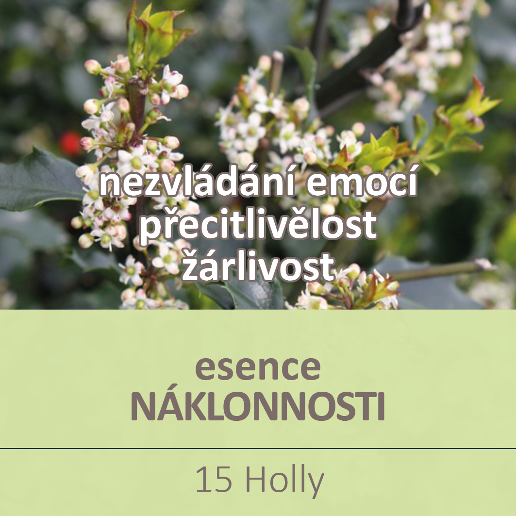 Holly cesmina ostrolista Bachovy esence esence naklonnosti Energie rostlin