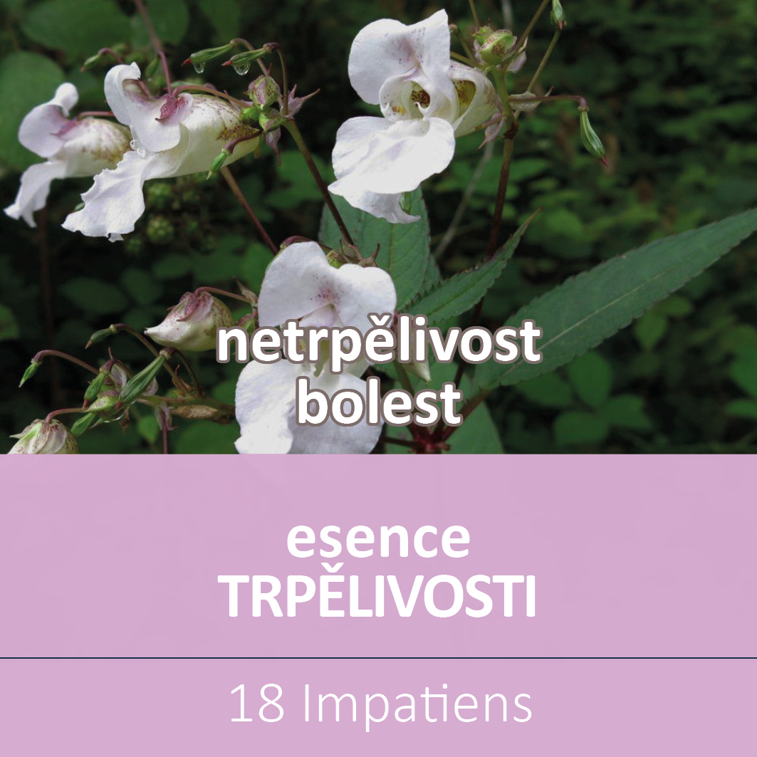 Bachova květová esence 18 – Impatiens