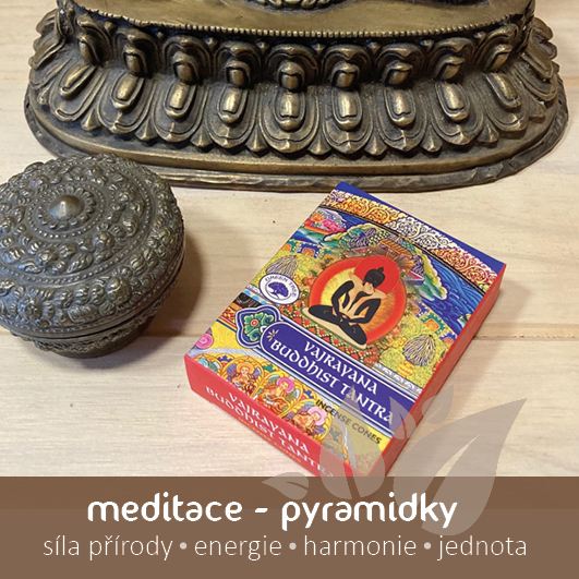 Meditacni vonne jehlanky Buddhisticka praxe Vayrayana Energie rostlin