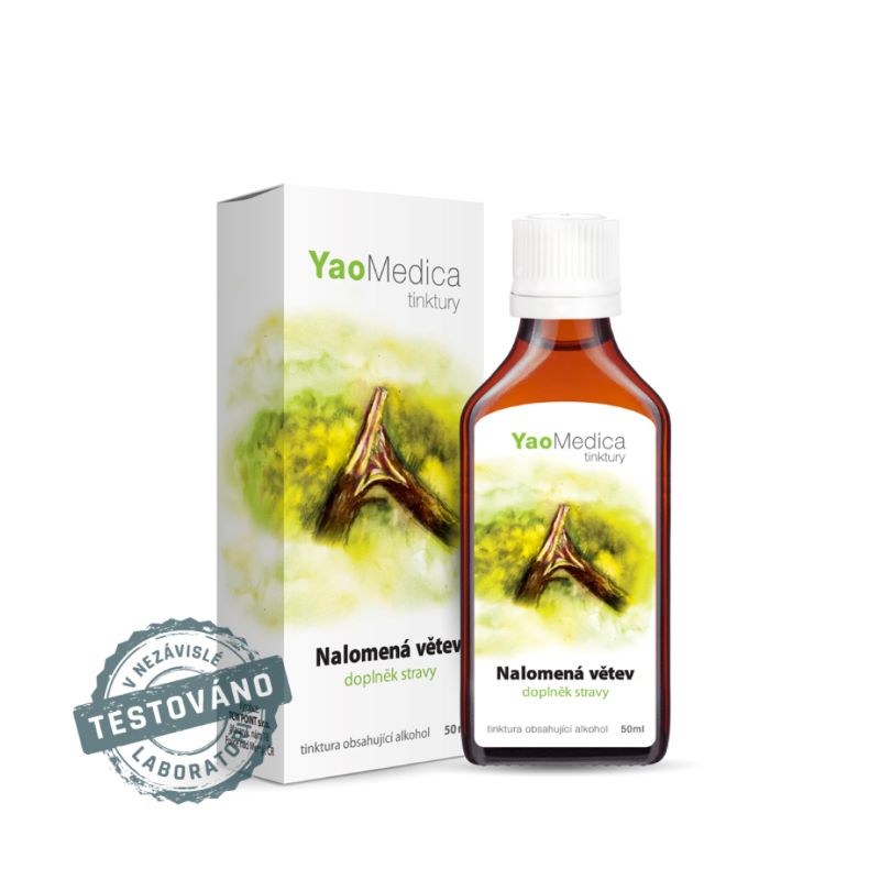 Nalomena vetev 035 Mycomedica u Energie rostlin