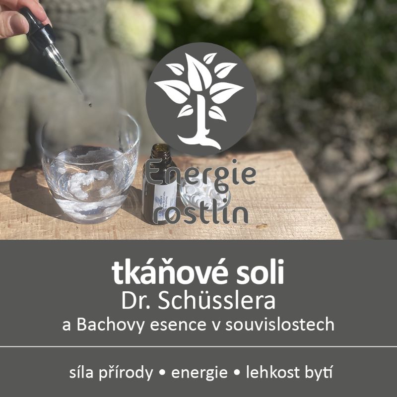 Schuesslerovy soli a Bachovy esence seminar2 Energie rostlin
