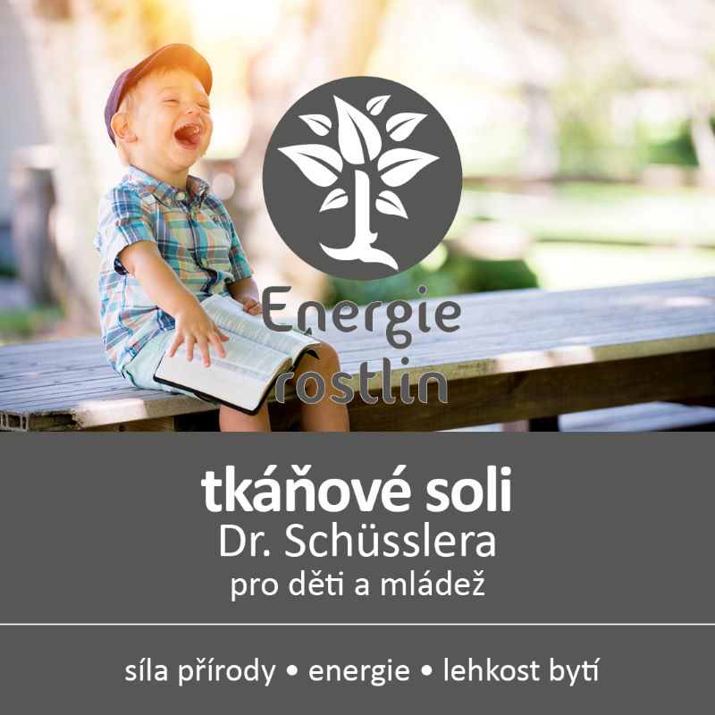 Schuesslerovy soli pro deti seminar Energie rostlin