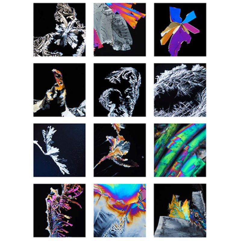 Schusslerovy tkanove soli Margret neumann plakat vyrez Energie rostlin 1