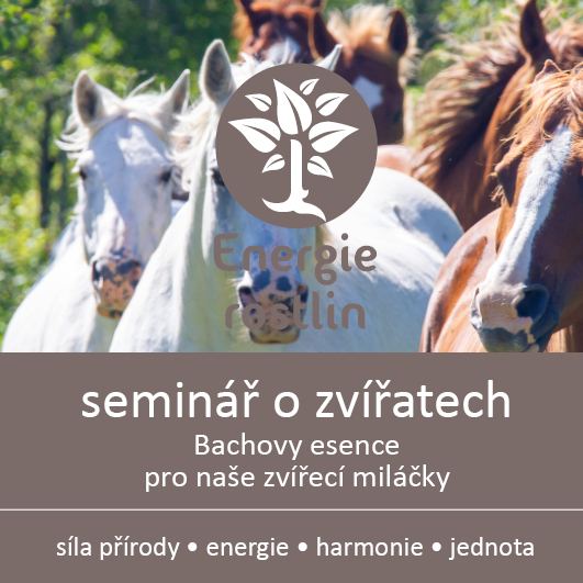 Seminar Bachovy esence pro zvirata Energie rostlin