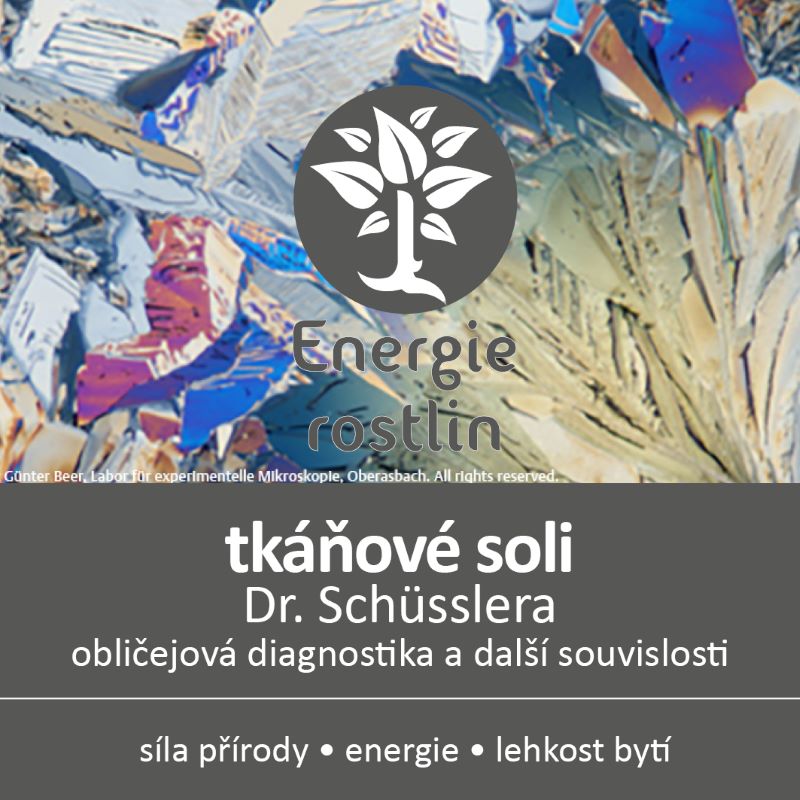 Seminar Schuesslerovy soli diagnostika Energie rosltin