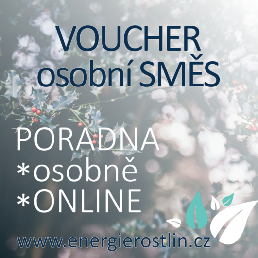 VOUCHR PORADNA vanoce Energie rostlin e1694463214714