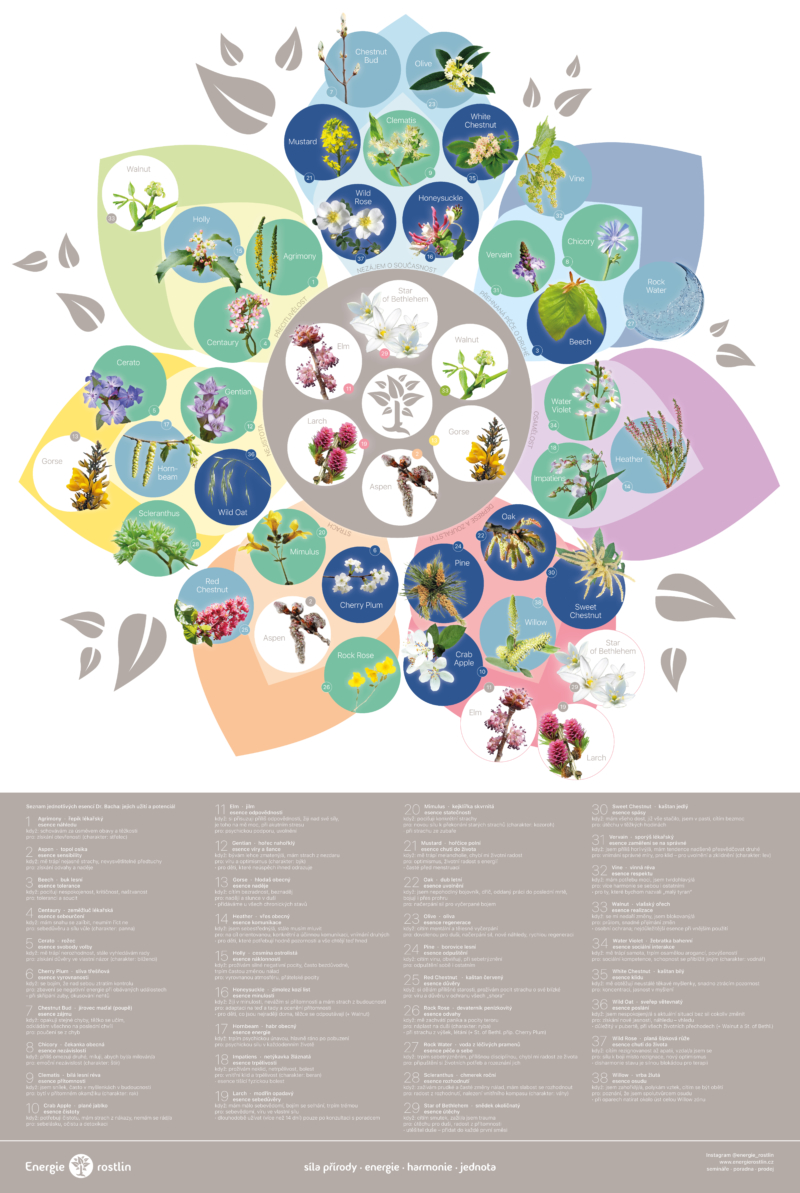 bachovky plakat 61x91 NAHLED e1637259687449