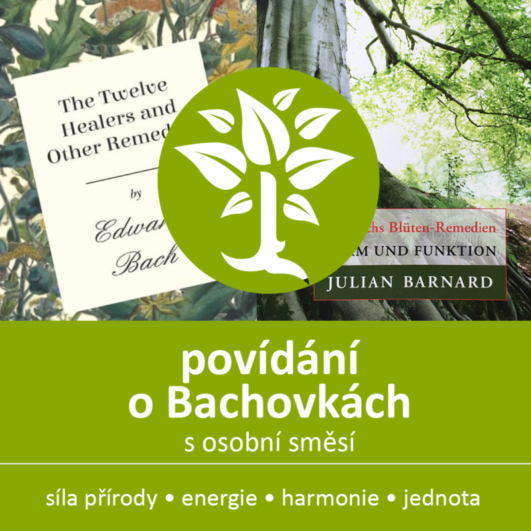 povidani o Bachovkach Energie rostlin web e1694455748560