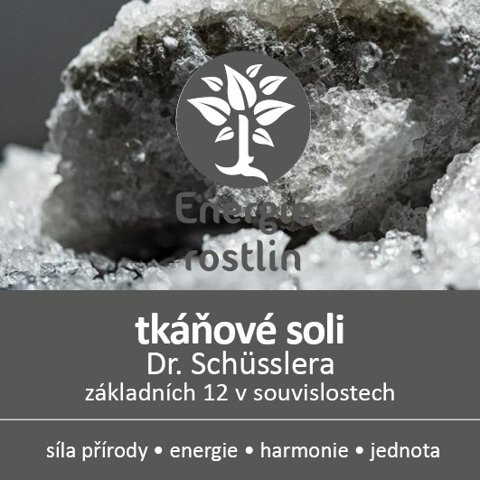 tkanove soli dr Schuesslera 12 zakladnich v souvislostech Energie rostlin